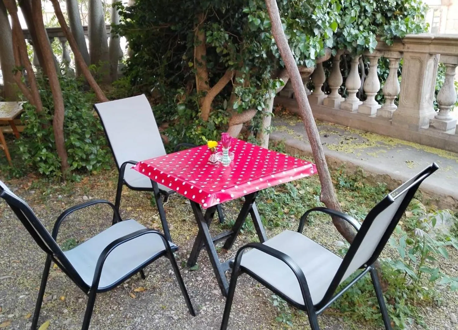 Garden In The Center Apartment Split